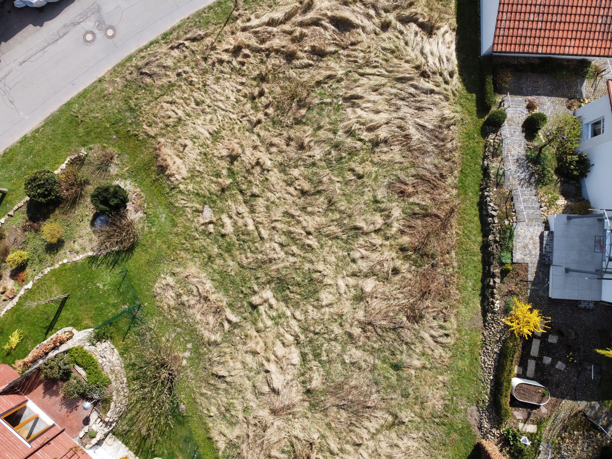dji_fly_20250401_144232_680_1743511475746_photo_optimized