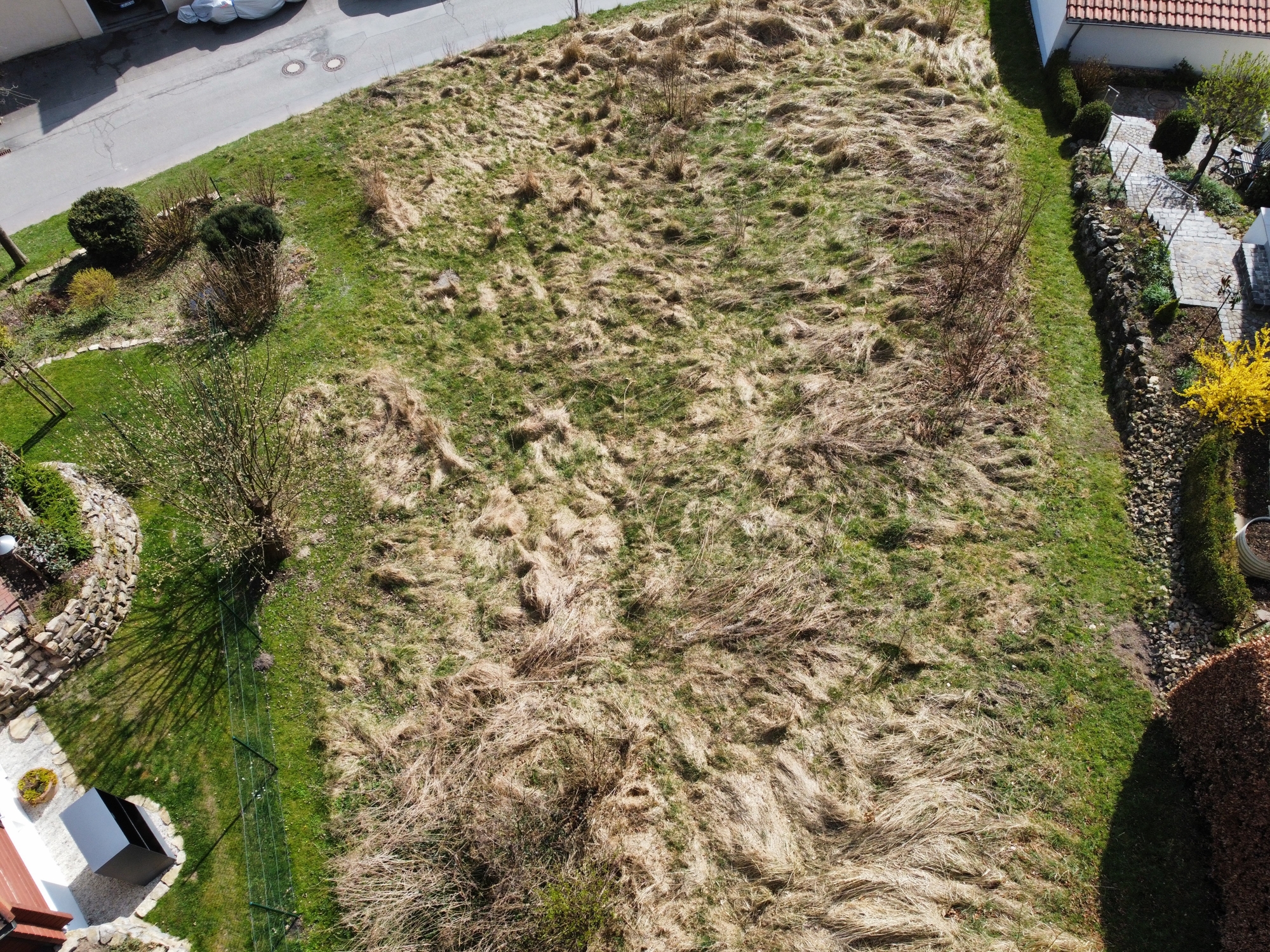 dji_fly_20250401_144154_679_1743511480554_photo_optimized